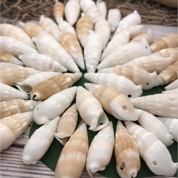 ICICLE SHELLS Cerithium Shells preDrilled HOLES Crafting Jewelry Making DIY Lot - Picture 3 of 13